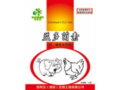 鸡猪饮水专用产品微生态制剂防治浆膜炎五号病提高抵抗力图1