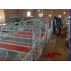 母豬產床-河南省新鄉市牧發養殖設備廠供應