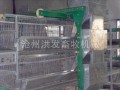 蛋鸡自动化设备 阶梯式蛋鸡上料机　全国招商－－沧州洪发畜牧机械有限公司