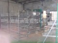 蛋鸡自动化设备 鸡笼设备　全国招商－－沧州洪发畜牧机械有限公司