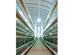 重叠式自动化养鸡成套设备图3