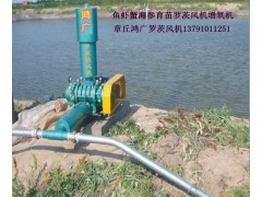 【罗茨鼓风机】【三叶罗茨鼓风机】图3