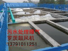 污水处理曝气罗茨鼓风机图2