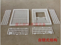 成鸡周转箱成鸡周转筐塑料鸡笼子周转箱拉鸡筐图3