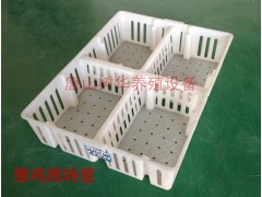 雏鸡周转箱雏鸡周转筐塑料雏鸡笼子雏鸡运输筐图2