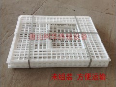 成鸭周转筐成鸭周转箱塑料运输筐塑料鸭筐鹅筐图2