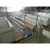 廠家專業生產高質量母豬產床