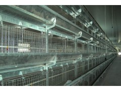 供应亿贝尔集团环保型蛋鸡鸡笼、图1