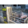 智能化种猪测定系统由河南河顺自动化设备有限公司自主研发和制造