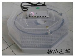 小型孵化箱孵化机|全能小型孵化机，鸭蛋孵化机图1