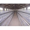 广东低价，质优，耐用鸡笼，养鸡设备，自动集蛋设备生产厂家