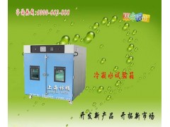 中国【冷凝水试验箱】厂图1