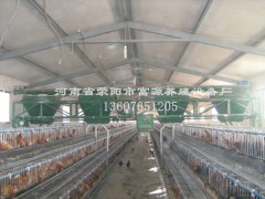 供应养鸡场全自动喂料机图2