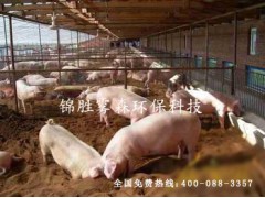 四川养殖场喷雾降温设备养殖场夏季降温禽舍夏季降温图2