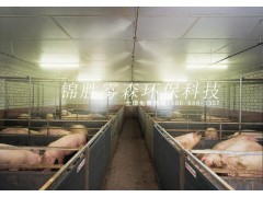 云南禽舍消毒除臭设备养殖场防疫消毒设备图2