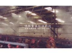 贵州养殖场降温除臭设备禽舍喷雾降温除臭设备图1