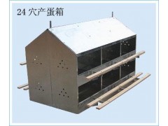 24穴产蛋箱图1