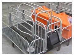 工厂化养猪成套设备图1
