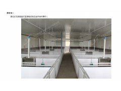 自动喂料系统图3