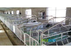母猪分娩栏图1