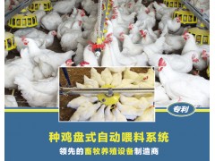 种鸡盘式自动喂料系统图1