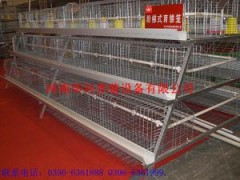 自动化养殖设备阶梯式肉鸡笼图1
