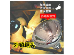 仔猪红外线保温灯图1