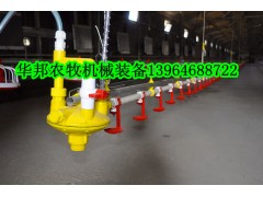 肉鸡水线图1