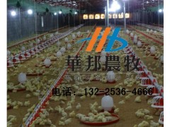 养鸡料线图1