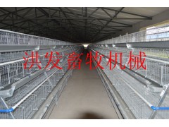 蛋鸡笼图1