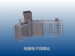 母猪自动饲喂系统图1