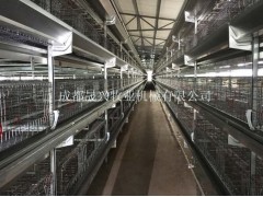 层叠式育雏育成鸡饲养设备图1