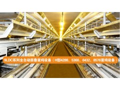 H型蛋鸡设备图1