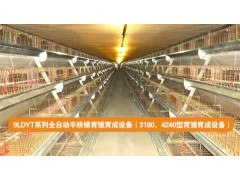 A型育雏育成设备图1