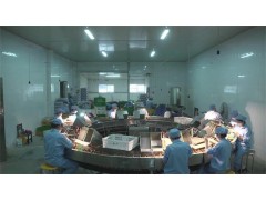 雏苗分拣设备图1