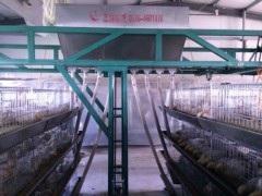 自动肉鸡喂料机图1