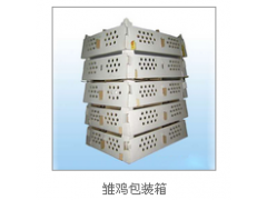 雏鸡包装盒图1
