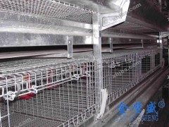 笼门图1