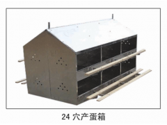 24穴产蛋箱图1