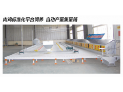 自动产蛋箱图1