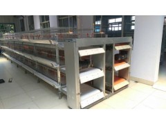 三层层叠式肉鸡设备图1