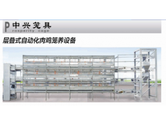 层叠式自动化肉鸡笼养设备图1