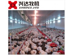 肉鸡平养自动料线系统图1