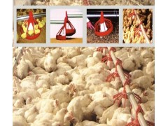 养鸡水线料线产品使用实景图图1
