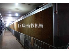 湿帘图1