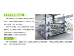层叠式育雏育成设备图1