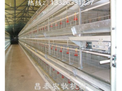 肉鸡笼图1