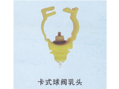 卡式球阀乳头图1