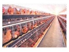 全自动电热风机，全自动电热风炉图2