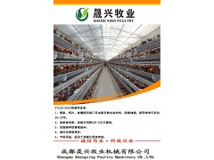 9TLXD-5250型蛋鸡设备图1